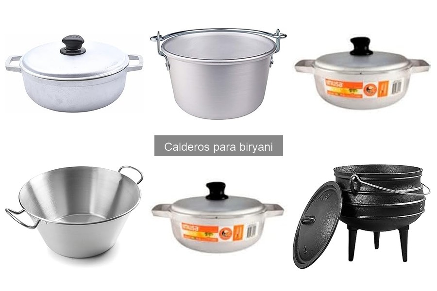 Soluciona Problemas Comunes Usando Calderos para Biryani