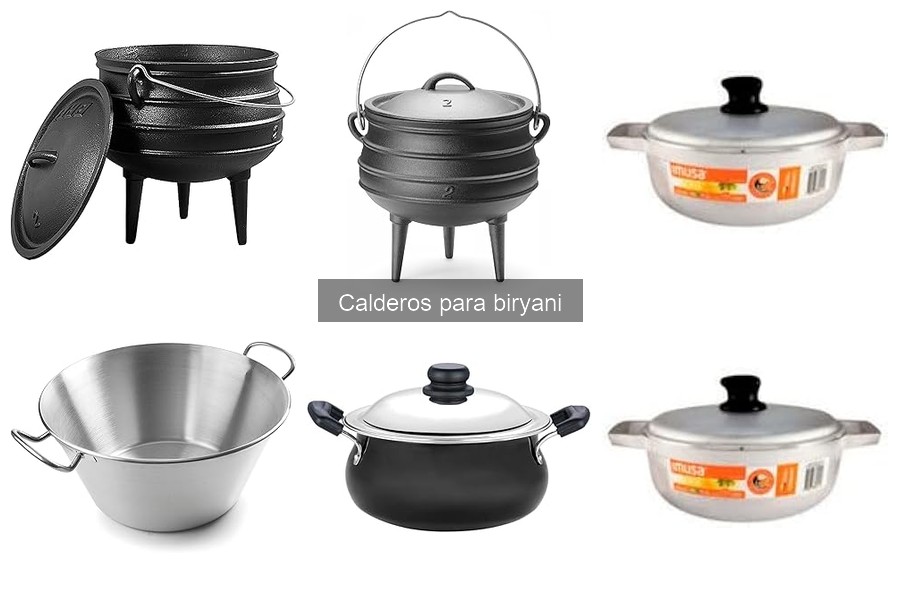 Tipos de calderos para biryani: materiales y capacidades