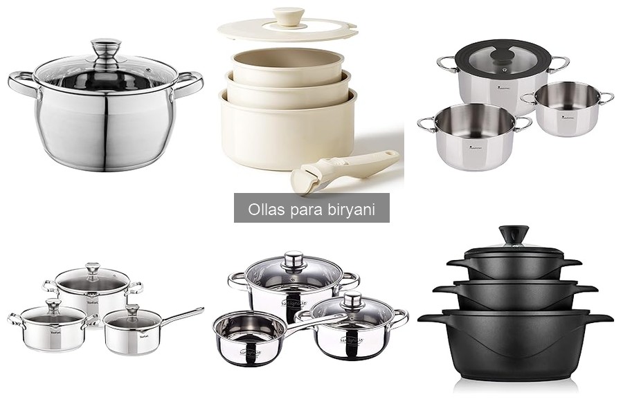 Todo sobre la olla para biryani: características y funciones
