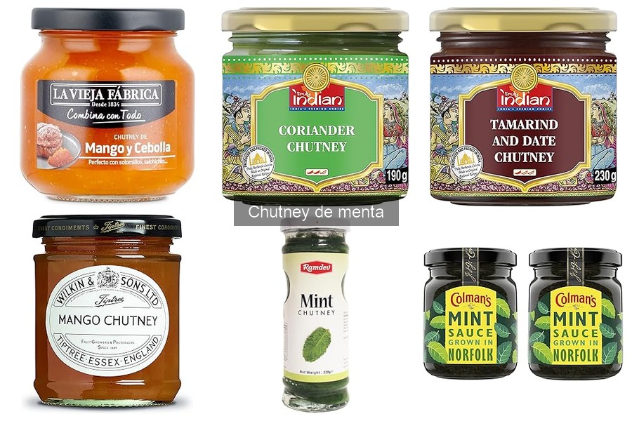 Usos del chutney de menta en la cocina india