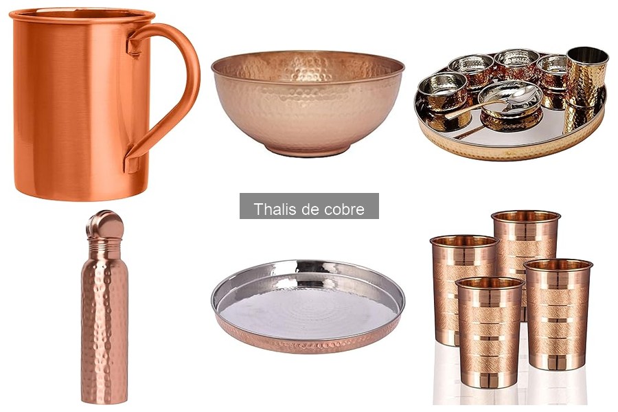 Ventajas de usar thalis de cobre en tu cocina